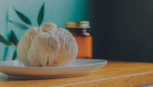 Fresh lion's mane mushroom on a ceramic dish in soft natural light